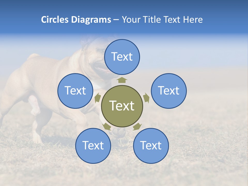 A Brown Dog Running Across A Field With A Blue Sign PowerPoint Template