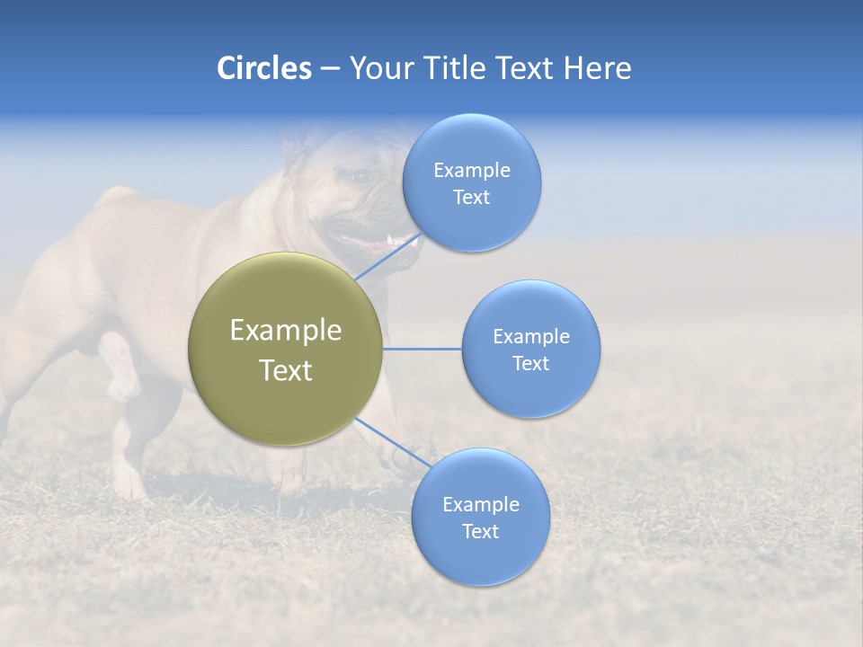 A Brown Dog Running Across A Field With A Blue Sign PowerPoint Template