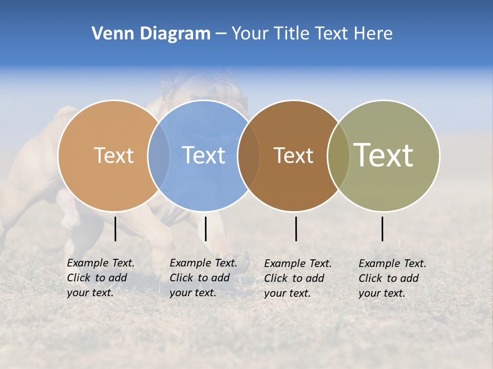 A Brown Dog Running Across A Field With A Blue Sign PowerPoint Template