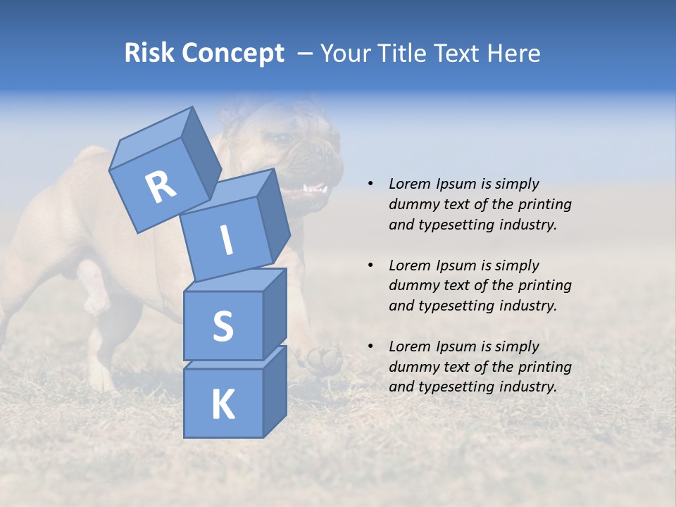 A Brown Dog Running Across A Field With A Blue Sign PowerPoint Template