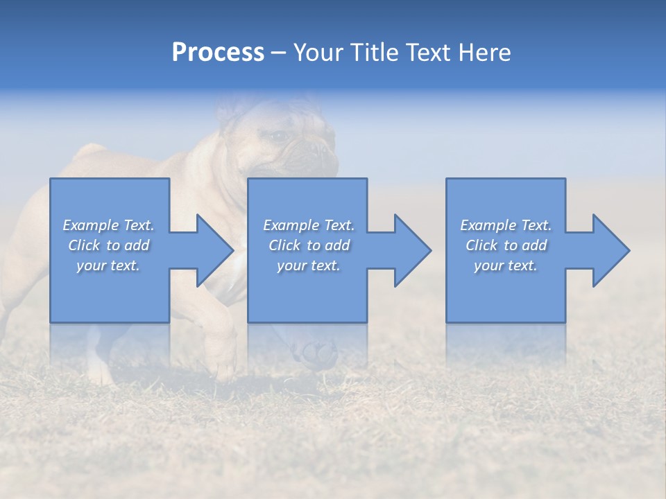 A Brown Dog Running Across A Field With A Blue Sign PowerPoint Template