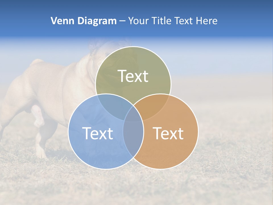 A Brown Dog Running Across A Field With A Blue Sign PowerPoint Template