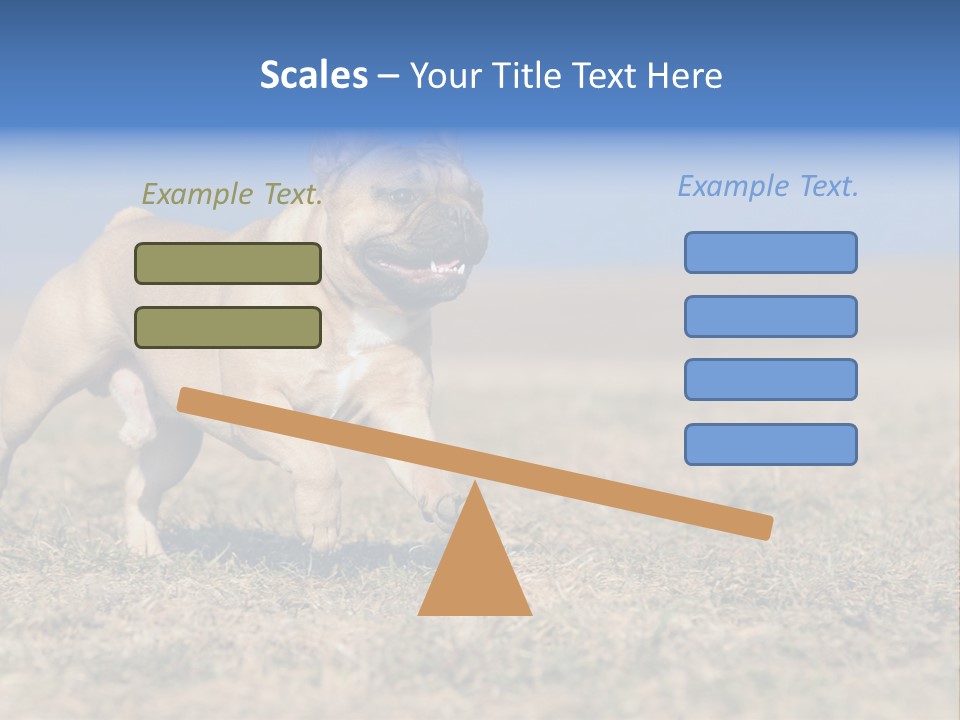 A Brown Dog Running Across A Field With A Blue Sign PowerPoint Template