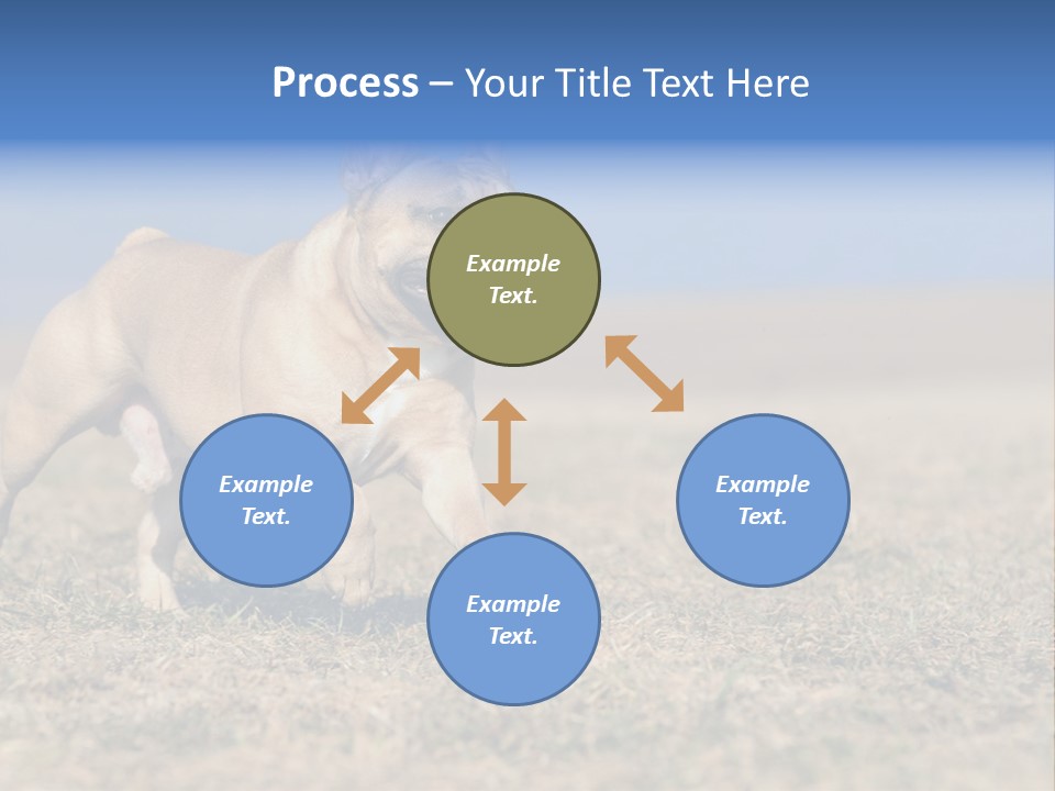 A Brown Dog Running Across A Field With A Blue Sign PowerPoint Template