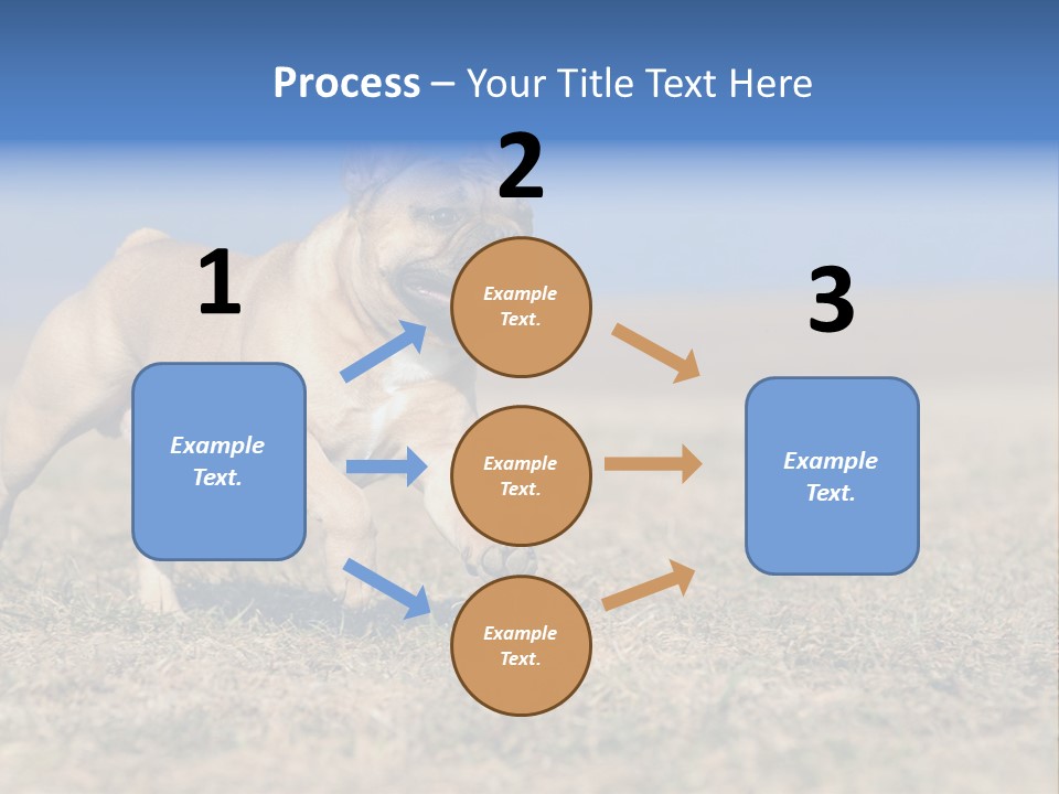 A Brown Dog Running Across A Field With A Blue Sign PowerPoint Template