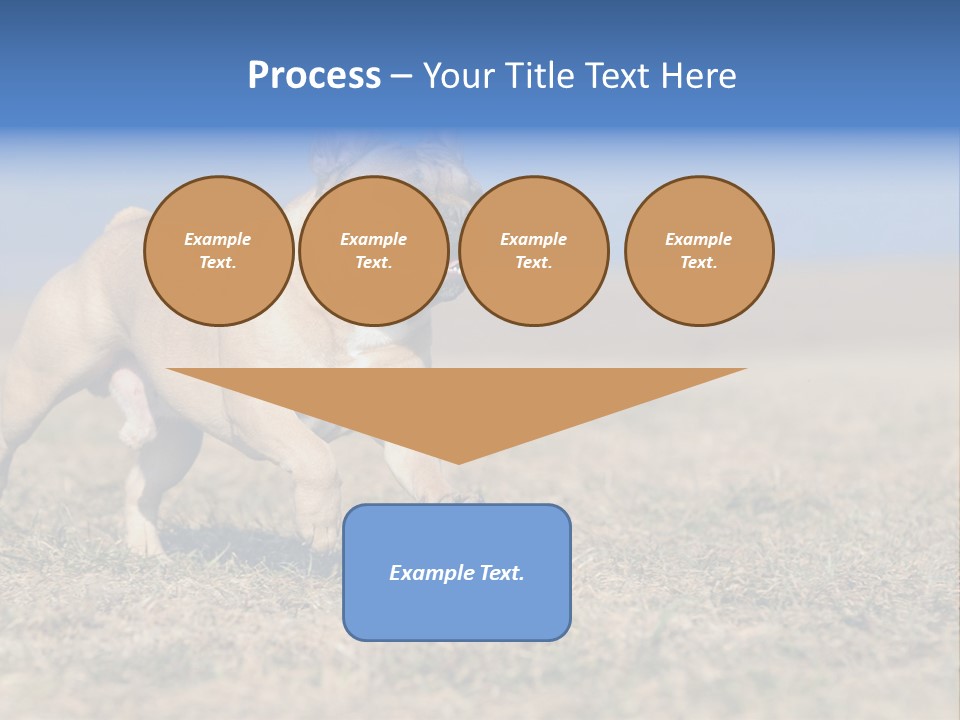 A Brown Dog Running Across A Field With A Blue Sign PowerPoint Template