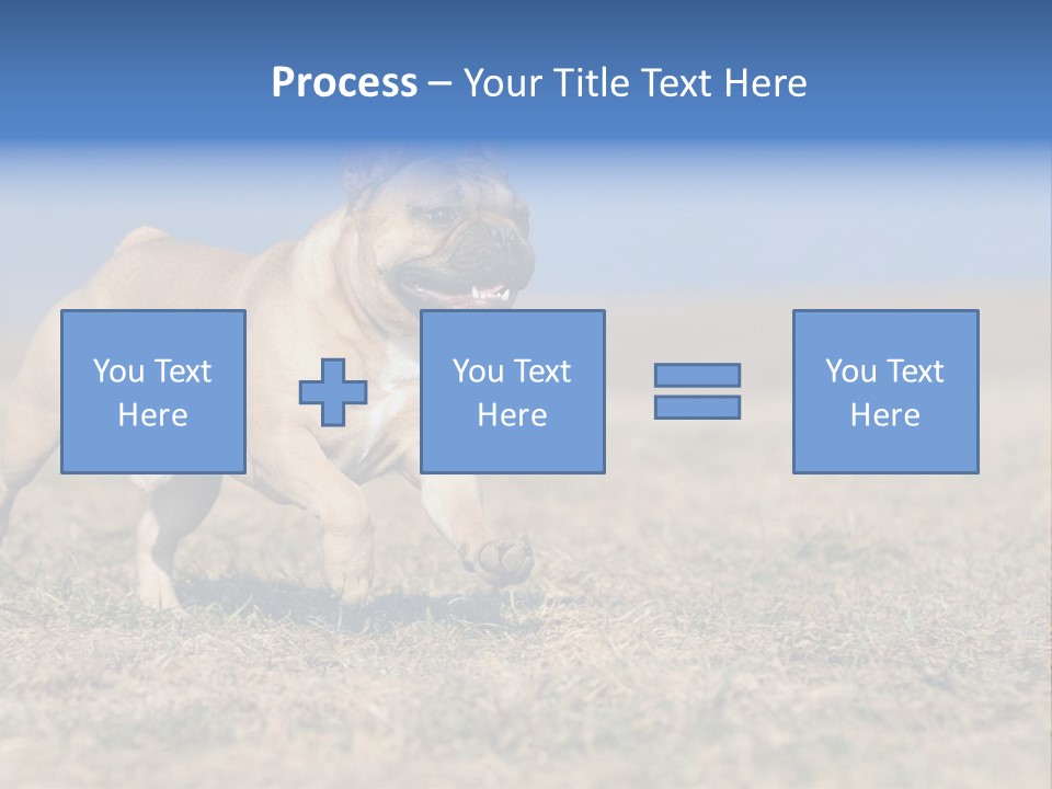 A Brown Dog Running Across A Field With A Blue Sign PowerPoint Template