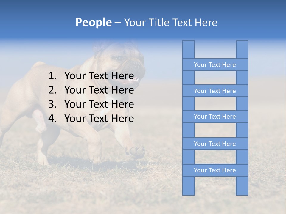 A Brown Dog Running Across A Field With A Blue Sign PowerPoint Template