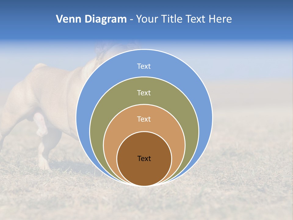 A Brown Dog Running Across A Field With A Blue Sign PowerPoint Template