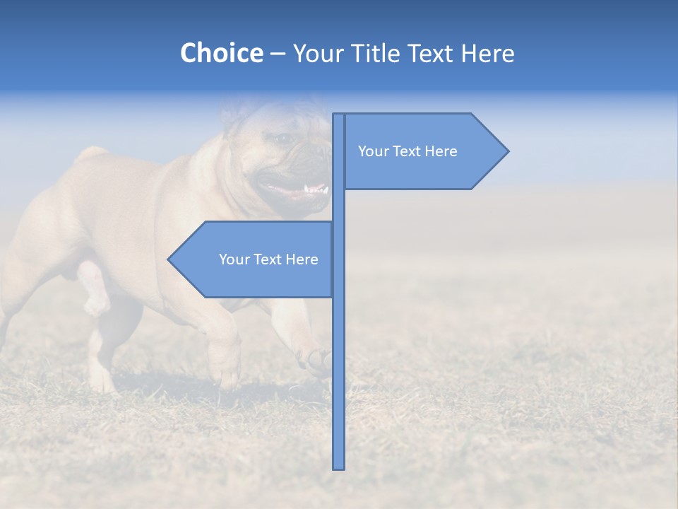 A Brown Dog Running Across A Field With A Blue Sign PowerPoint Template