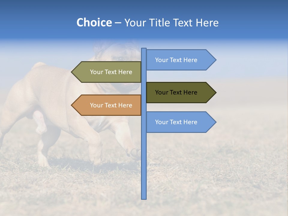 A Brown Dog Running Across A Field With A Blue Sign PowerPoint Template