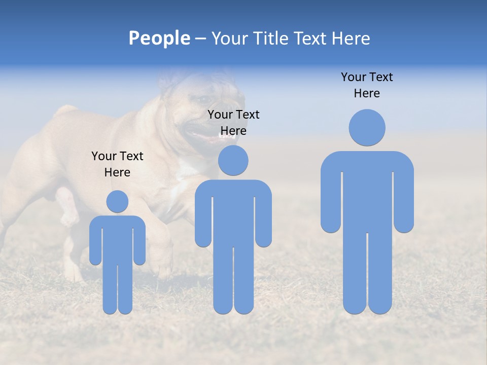 A Brown Dog Running Across A Field With A Blue Sign PowerPoint Template