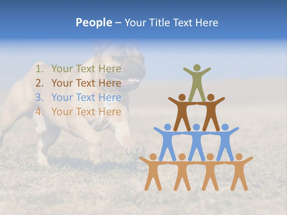 A Brown Dog Running Across A Field With A Blue Sign PowerPoint Template