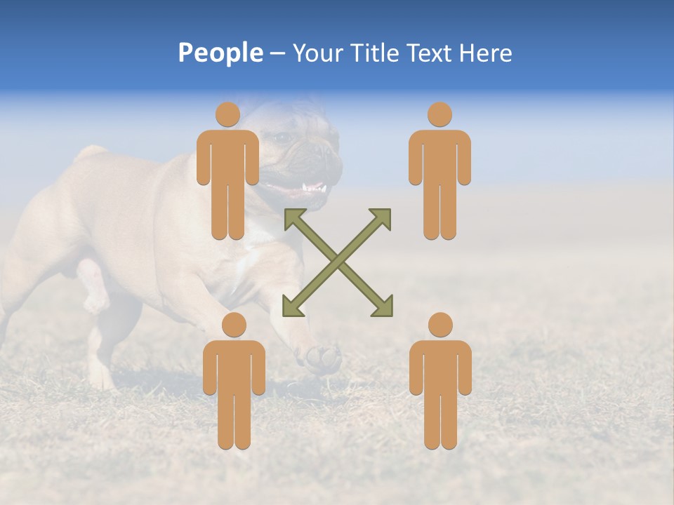 A Brown Dog Running Across A Field With A Blue Sign PowerPoint Template