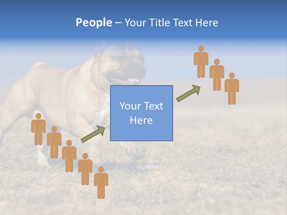 A Brown Dog Running Across A Field With A Blue Sign PowerPoint Template
