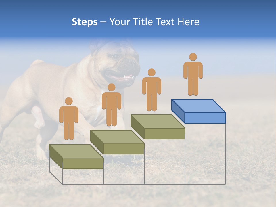 A Brown Dog Running Across A Field With A Blue Sign PowerPoint Template