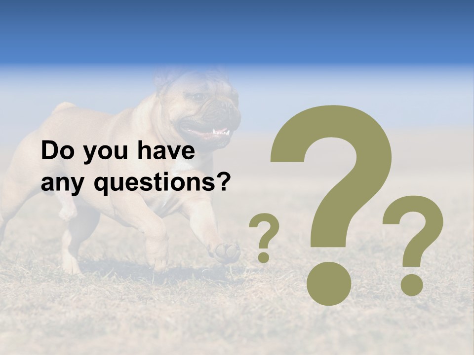 A Brown Dog Running Across A Field With A Blue Sign PowerPoint Template