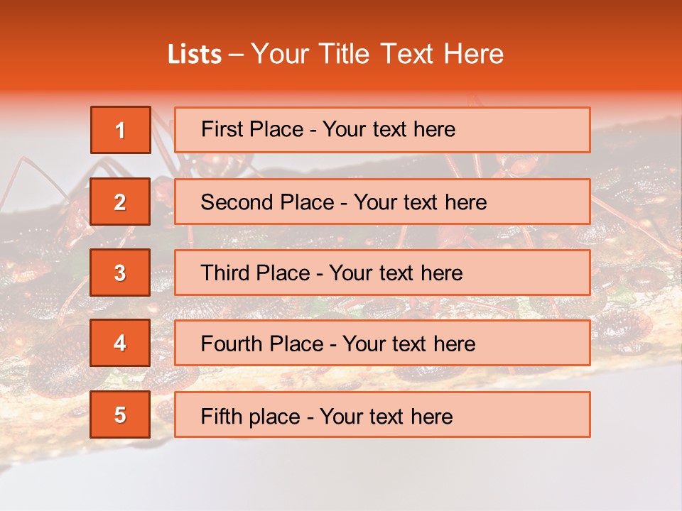 A Group Of Red Ants On A Piece Of Wood PowerPoint Template