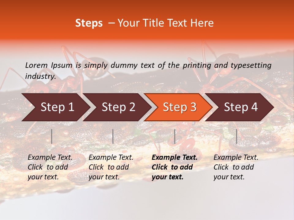 A Group Of Red Ants On A Piece Of Wood PowerPoint Template