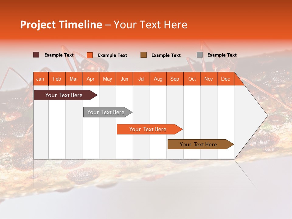 A Group Of Red Ants On A Piece Of Wood PowerPoint Template