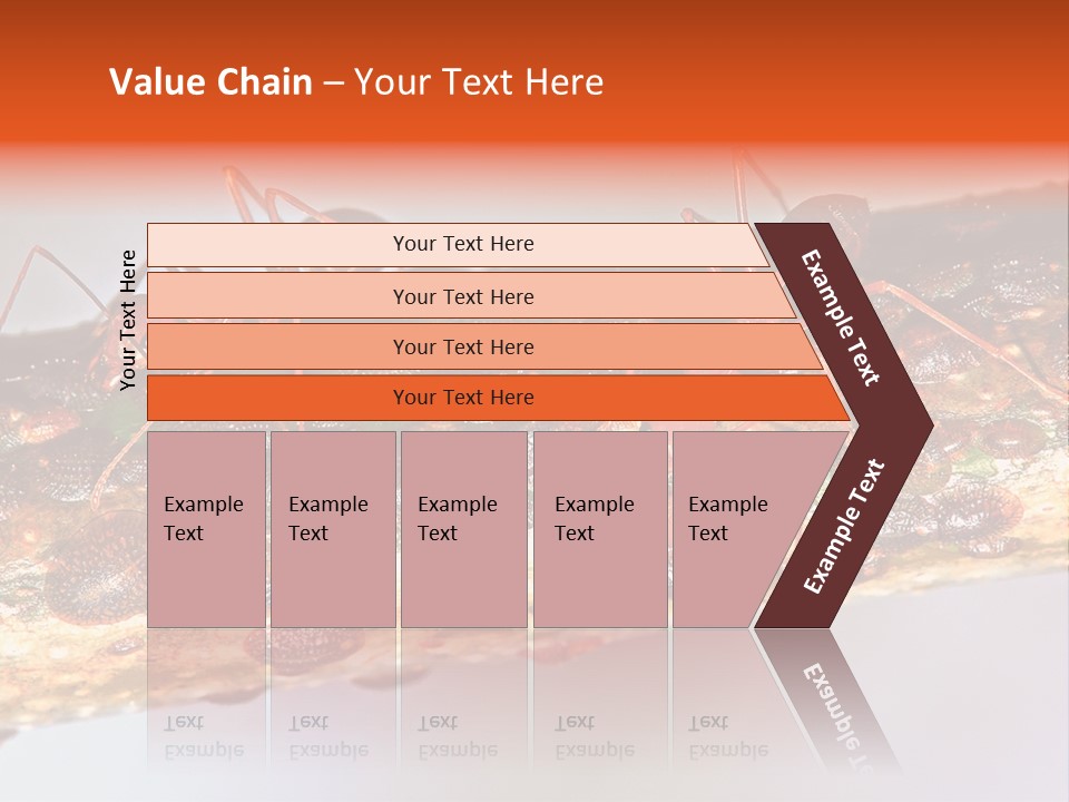 A Group Of Red Ants On A Piece Of Wood PowerPoint Template