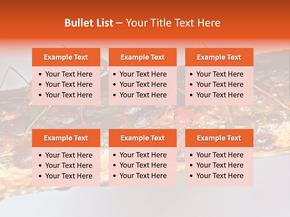 A Group Of Red Ants On A Piece Of Wood PowerPoint Template