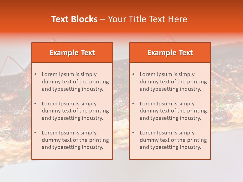 A Group Of Red Ants On A Piece Of Wood PowerPoint Template