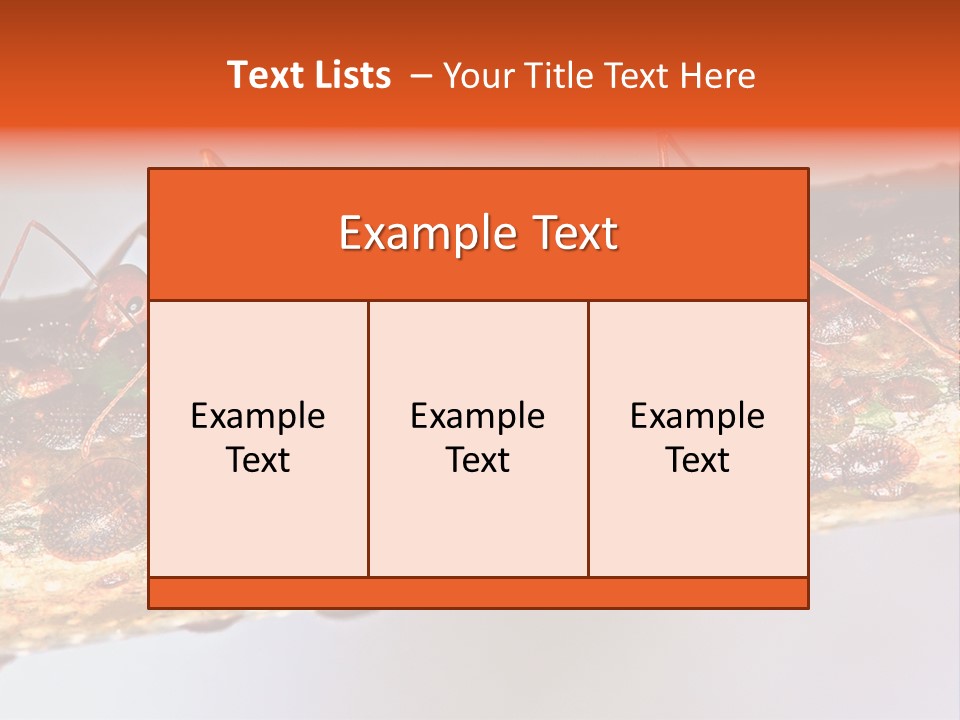 A Group Of Red Ants On A Piece Of Wood PowerPoint Template