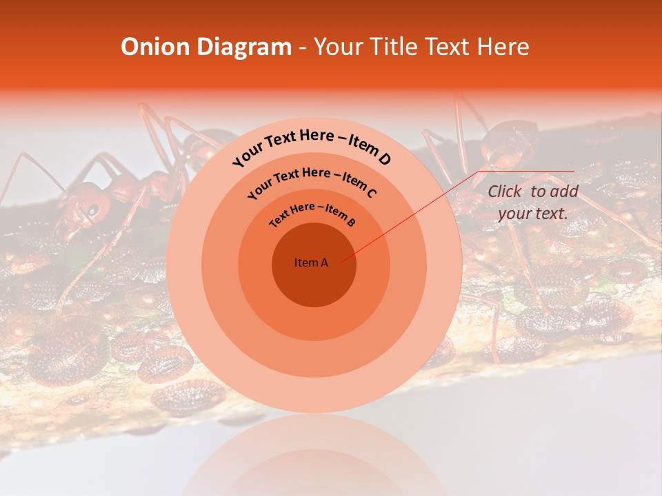 A Group Of Red Ants On A Piece Of Wood PowerPoint Template