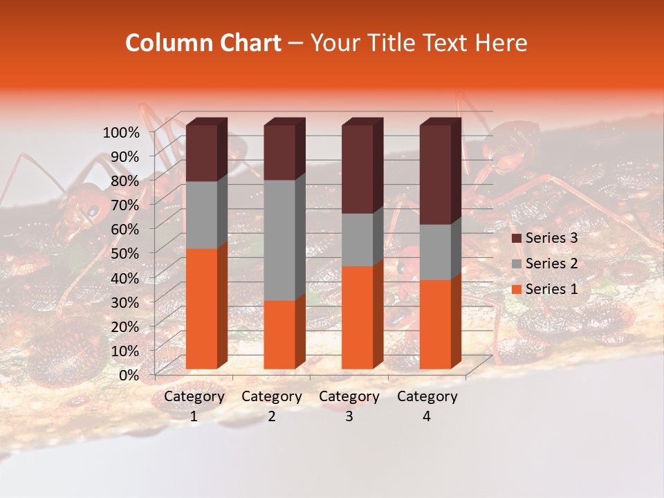 A Group Of Red Ants On A Piece Of Wood PowerPoint Template