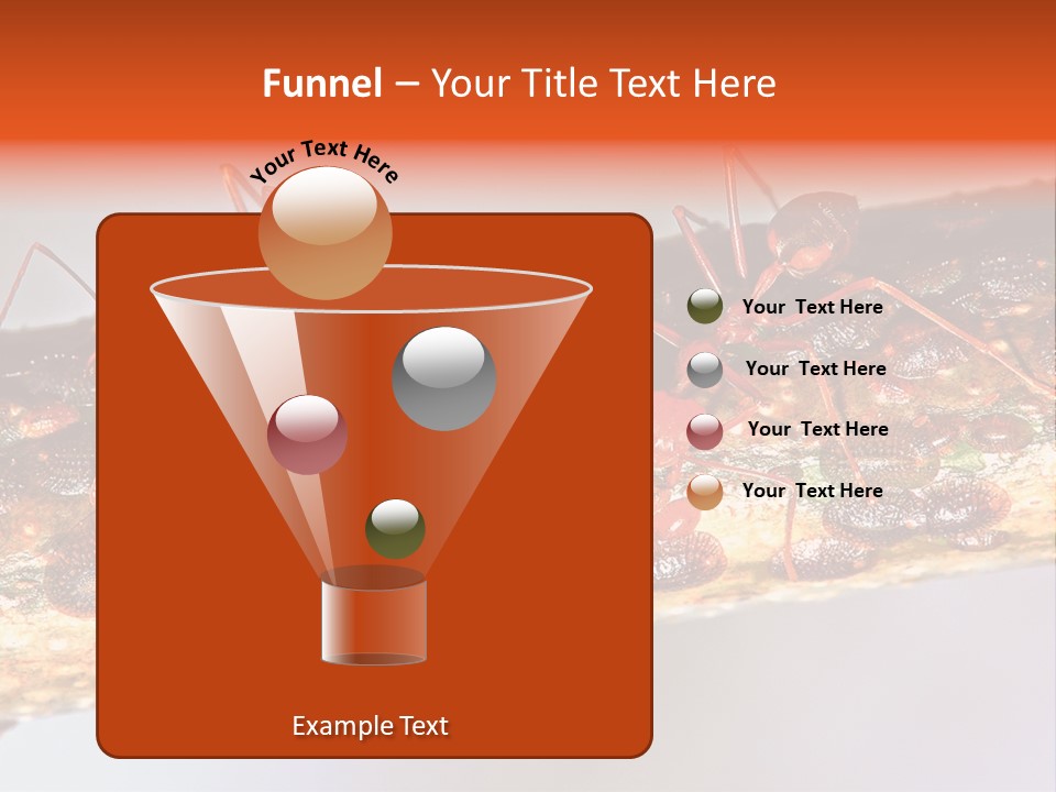 A Group Of Red Ants On A Piece Of Wood PowerPoint Template