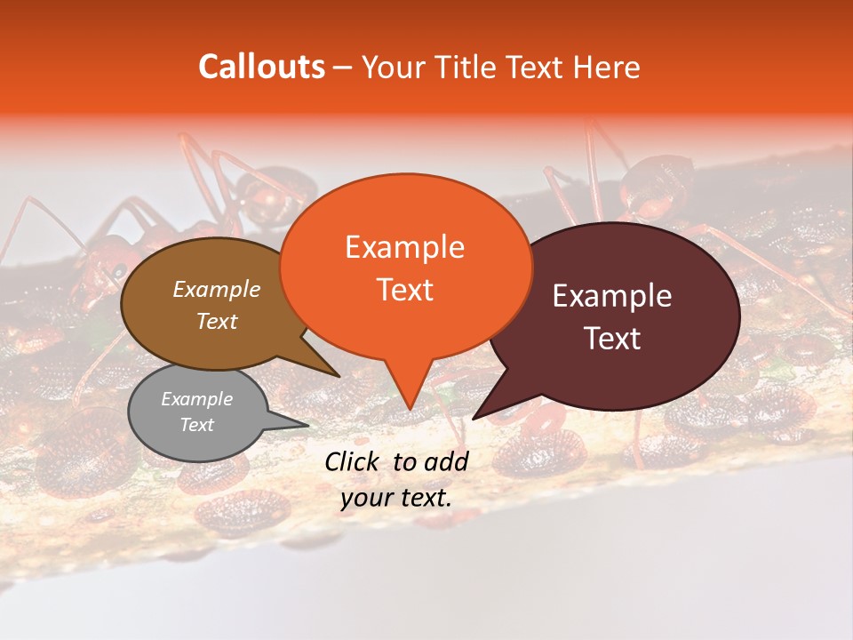 A Group Of Red Ants On A Piece Of Wood PowerPoint Template
