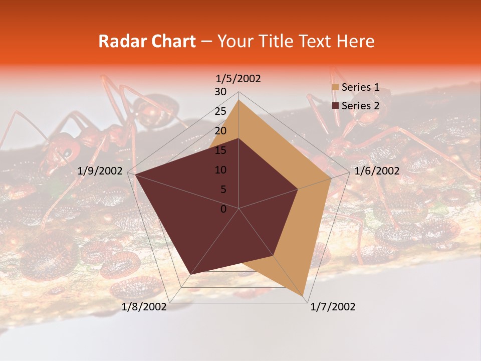 A Group Of Red Ants On A Piece Of Wood PowerPoint Template