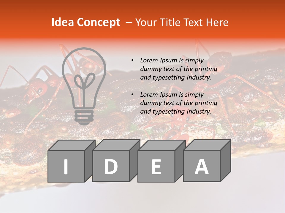 A Group Of Red Ants On A Piece Of Wood PowerPoint Template