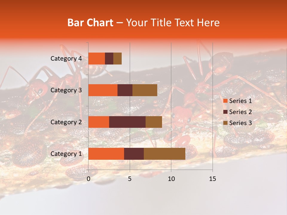 A Group Of Red Ants On A Piece Of Wood PowerPoint Template