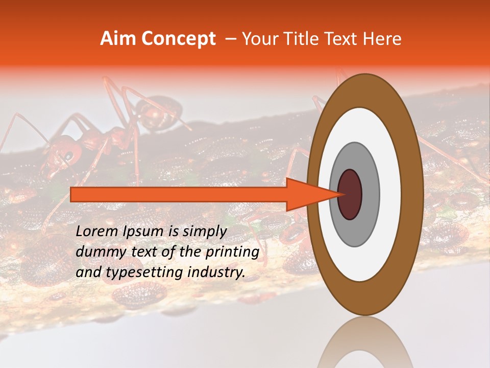 A Group Of Red Ants On A Piece Of Wood PowerPoint Template