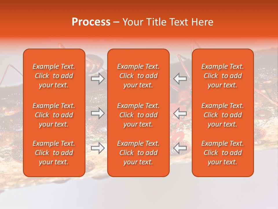 A Group Of Red Ants On A Piece Of Wood PowerPoint Template