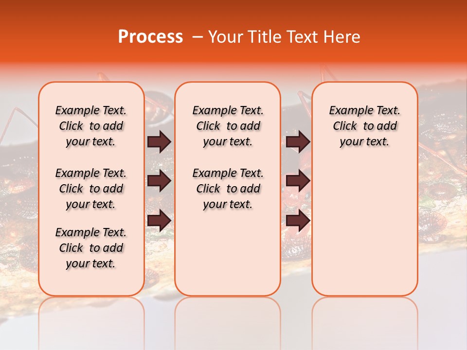A Group Of Red Ants On A Piece Of Wood PowerPoint Template