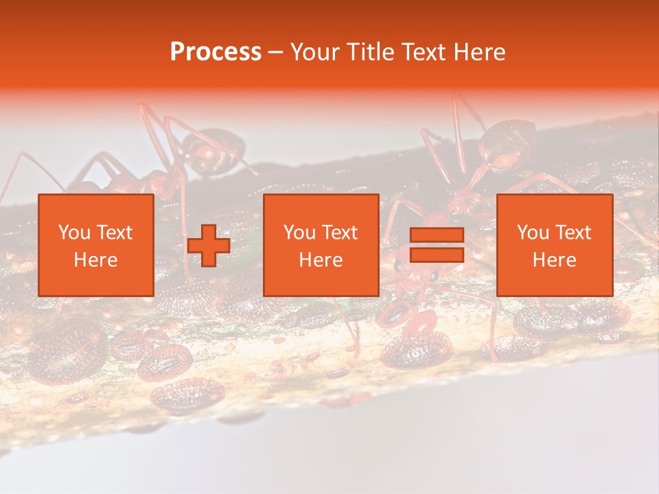 A Group Of Red Ants On A Piece Of Wood PowerPoint Template