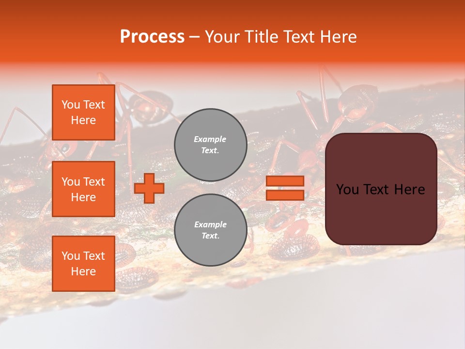 A Group Of Red Ants On A Piece Of Wood PowerPoint Template