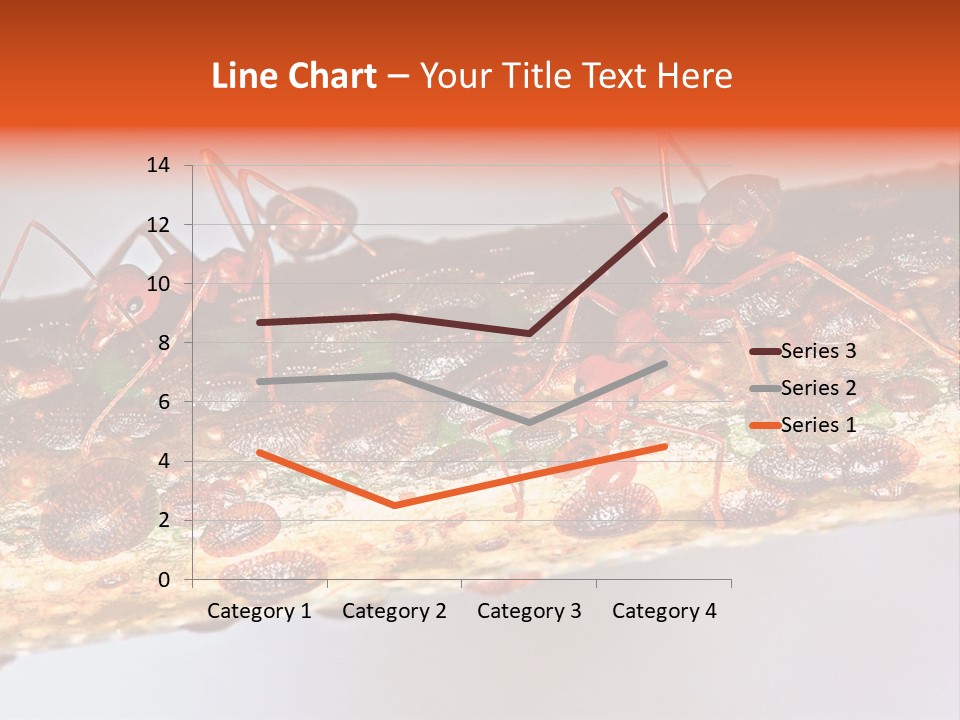 A Group Of Red Ants On A Piece Of Wood PowerPoint Template