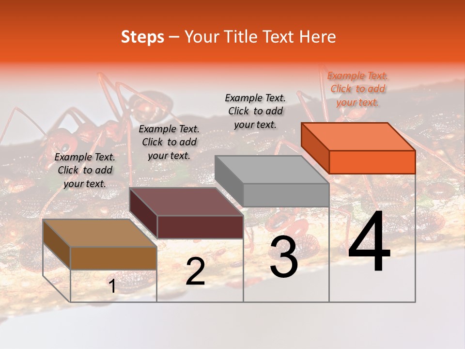 A Group Of Red Ants On A Piece Of Wood PowerPoint Template