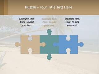 A Palm Tree On A Beach With The Ocean In The Background PowerPoint Template