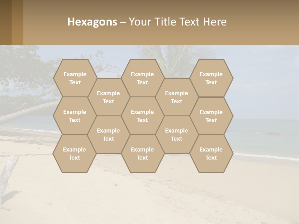 A Palm Tree On A Beach With The Ocean In The Background PowerPoint Template