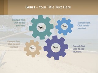 A Palm Tree On A Beach With The Ocean In The Background PowerPoint Template