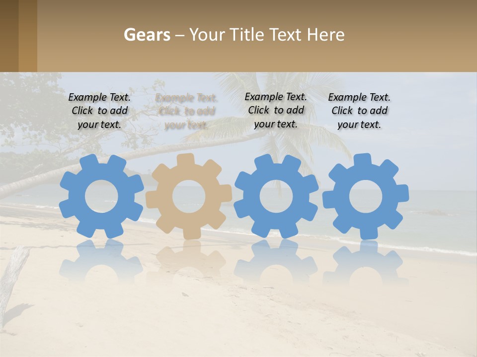 A Palm Tree On A Beach With The Ocean In The Background PowerPoint Template