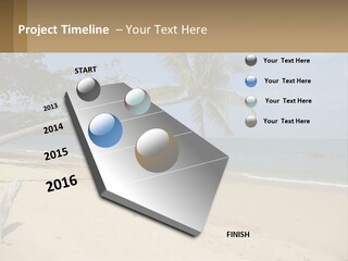 A Palm Tree On A Beach With The Ocean In The Background PowerPoint Template