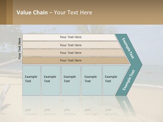 A Palm Tree On A Beach With The Ocean In The Background PowerPoint Template