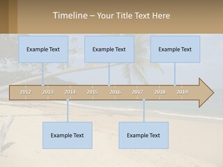 A Palm Tree On A Beach With The Ocean In The Background PowerPoint Template