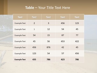 A Palm Tree On A Beach With The Ocean In The Background PowerPoint Template